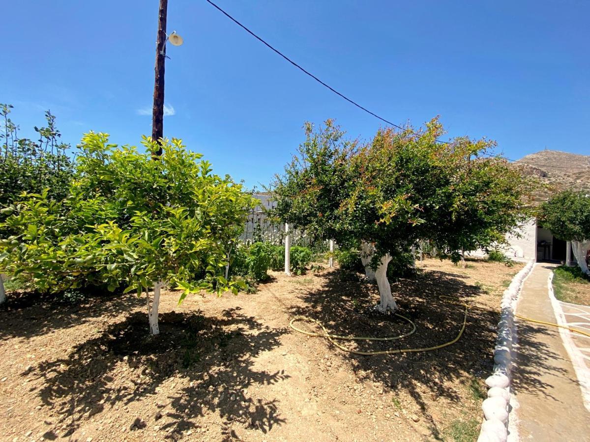 Michail Suites Afiartis Karpathos ภายนอก รูปภาพ